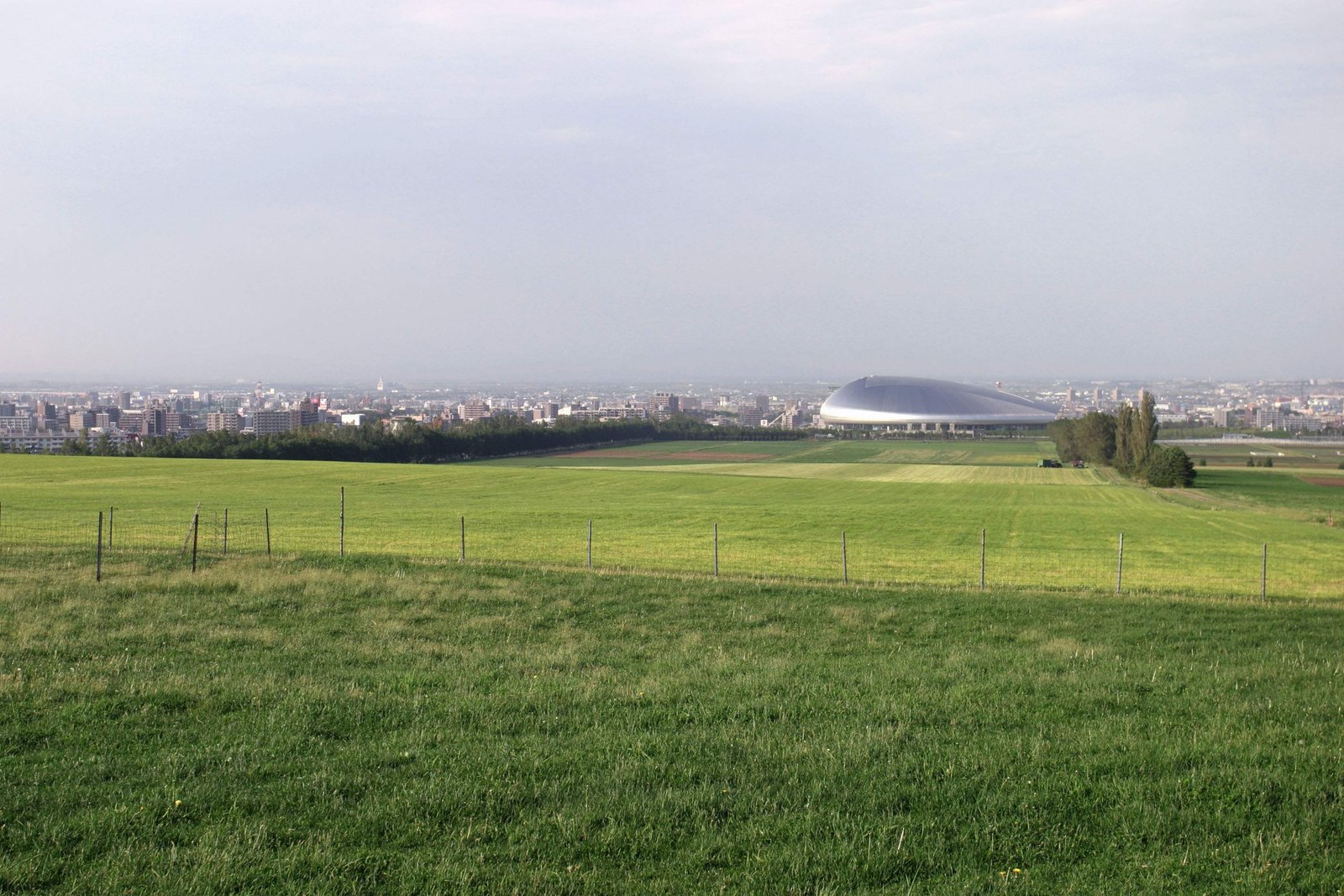 photo,material,free,landscape,picture,stock photo,Creative Commons,Landscape with the Sapporo Dome, Hitsujigaoka, tree, birch, blue sky