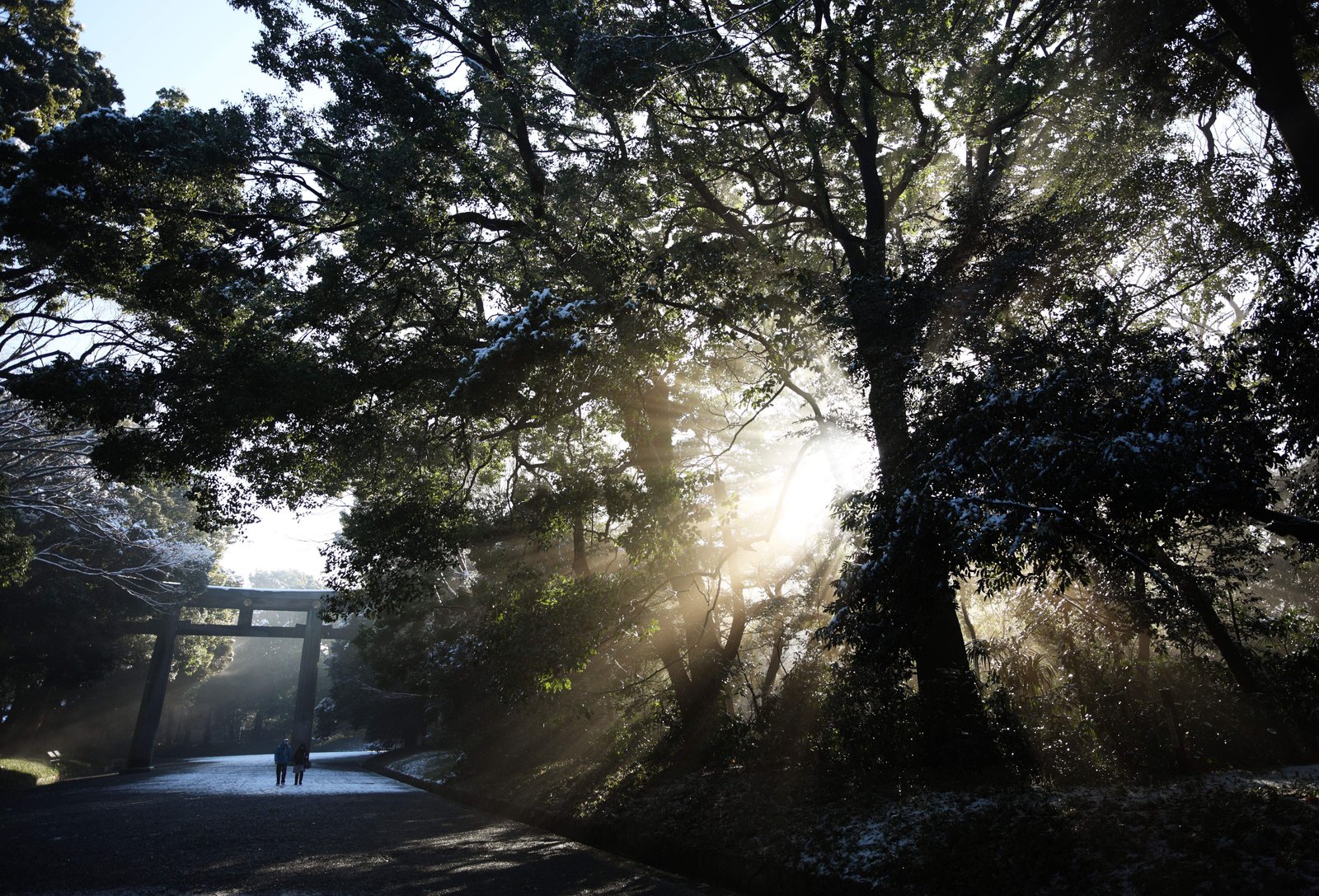 photo,material,free,landscape,picture,stock photo,Creative Commons,The light of the oracle, Sei God, light line, Sacred light, Brightness