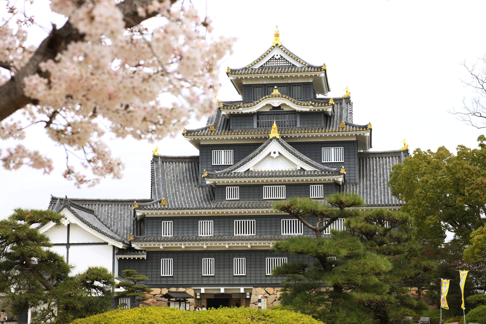 photo,material,free,landscape,picture,stock photo,Creative Commons,Okayama-jo Castle, castle, The castle tower, Crow Castle, 