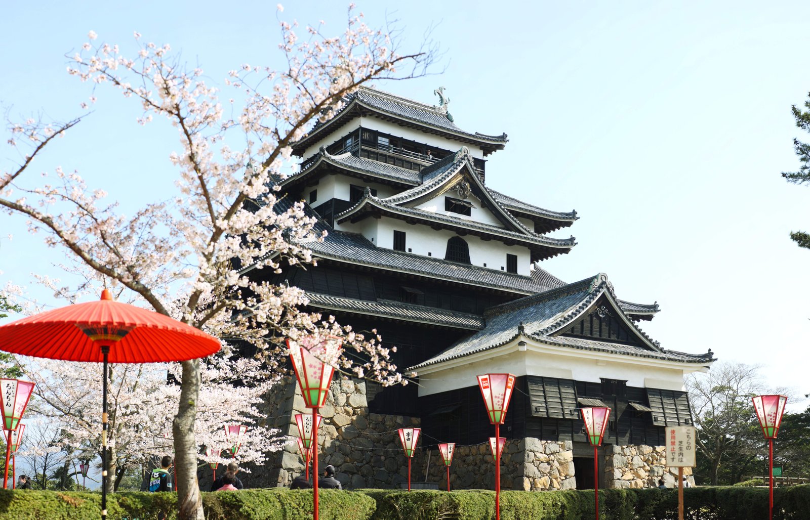 写真,素材,無料,フリー,フォト,クリエイティブ・コモンズ,風景,壁紙,松江城 天守閣, 桜, 石積み, 城郭, 石垣