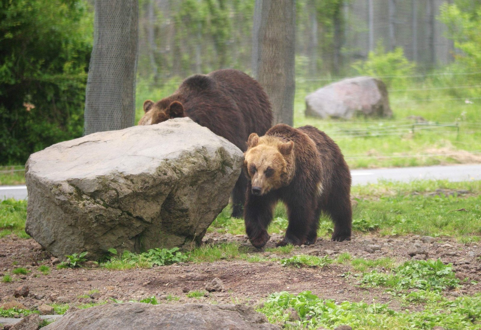 �ʐ^,�f��,����,�t���[,�t�H�g,�N���G�C�e�B�u�E�R�����Y,���i,�ǎ�,����, �F, �N�}, ����, 