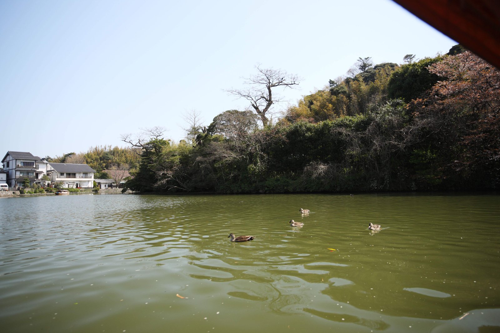 �ʐ^,�f��,����,�t���[,�t�H�g,�N���G�C�e�B�u�E�R�����Y,���i,�ǎ�,���]��@���x, �ό��D, �D, �x, ��