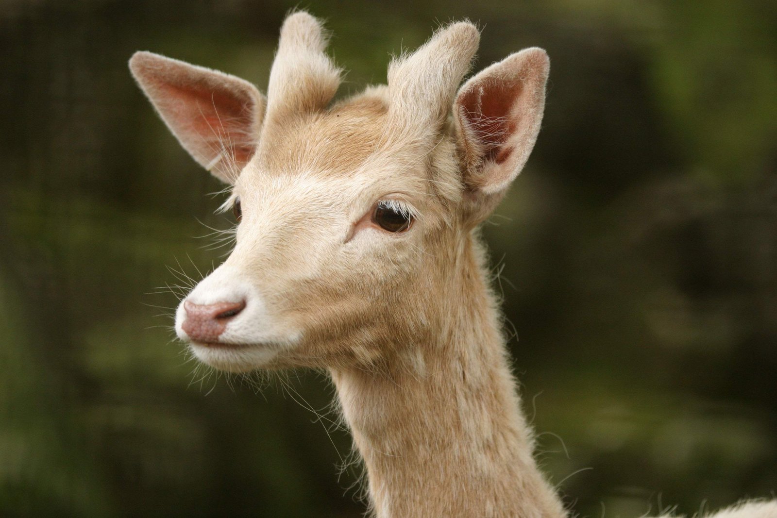 �ʐ^,�f��,����,�t���[,�t�H�g,�N���G�C�e�B�u�E�R�����Y,���i,�ǎ�,�Ԃ�ȓ�, ���H����, , , 