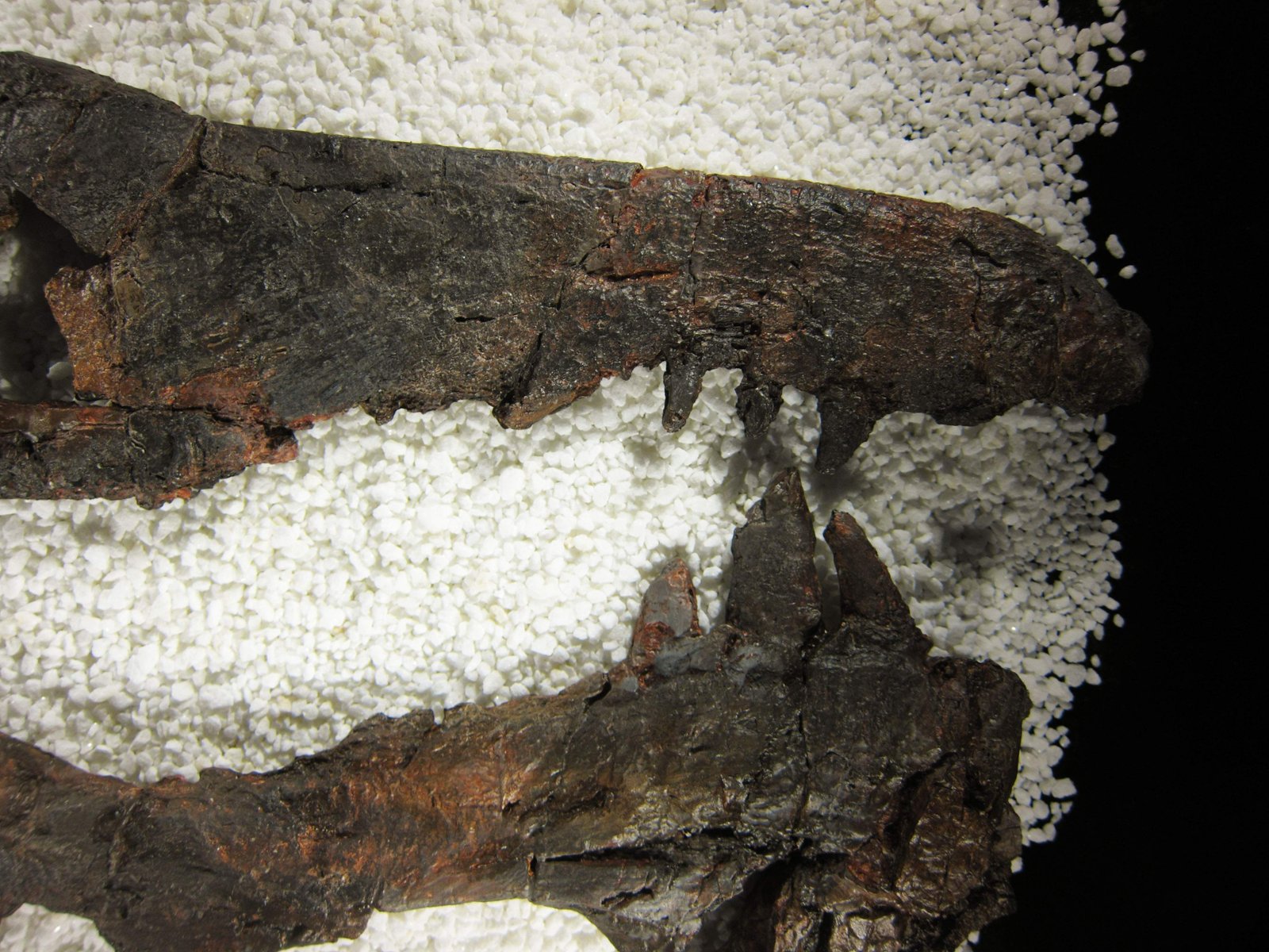 �ʐ^,�f��,����,�t���[,�t�H�g,�N���G�C�e�B�u�E�R�����Y,���i,�ǎ�,�����̉���, ����, ����, ��, �Ñ�