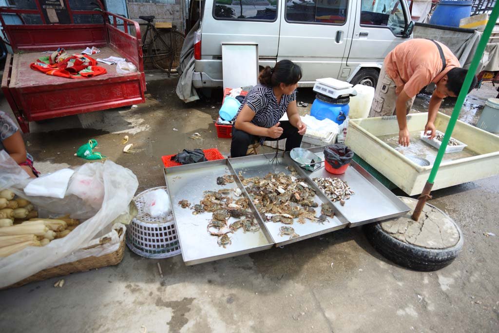 �ʐ^,�f��,����,�t���[,�t�H�g,�N���G�C�e�B�u�E�R�����Y,���i,�ǎ�,�g���s��, �s��, �I�V, ������, ����