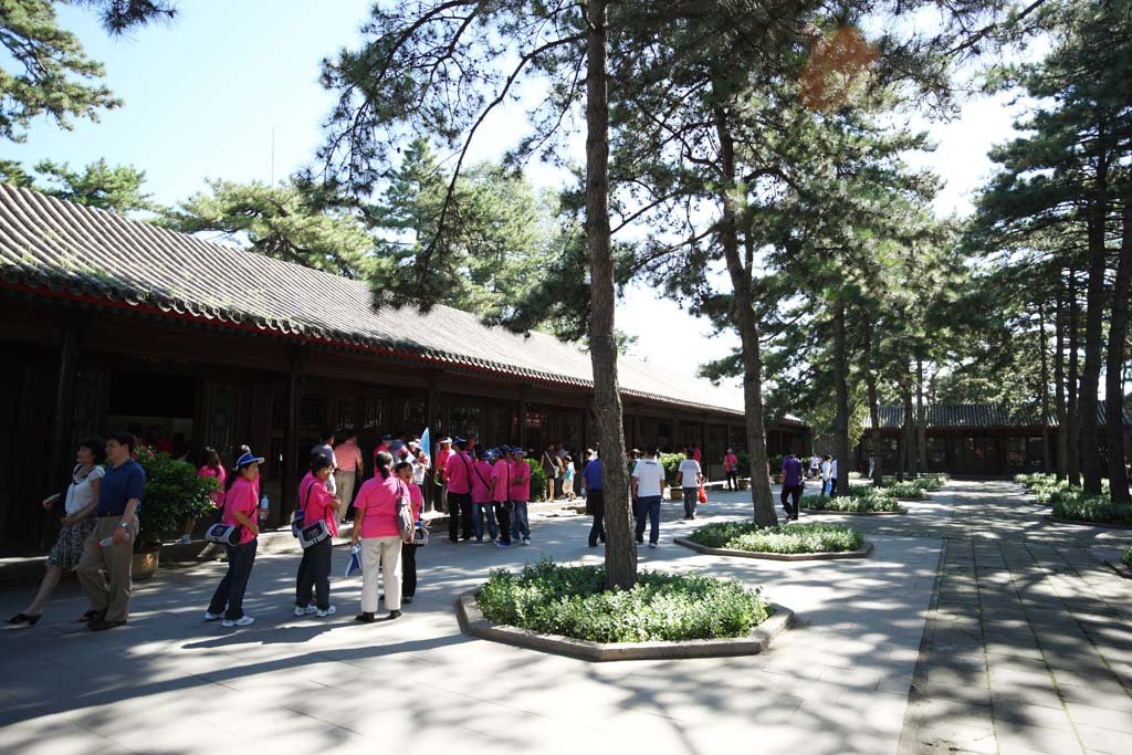 �ʐ^,�f��,����,�t���[,�t�H�g,�N���G�C�e�B�u�E�R�����Y,���i,�ǎ�,�����R���@, �ؑ�, ����, �����n, ������