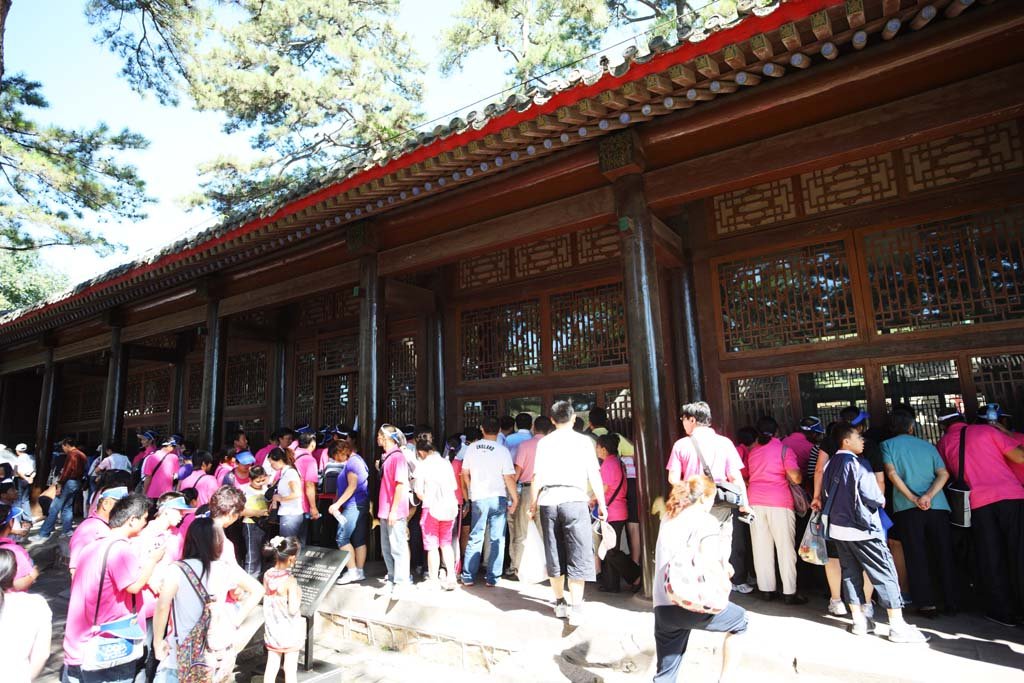 �ʐ^,�f��,����,�t���[,�t�H�g,�N���G�C�e�B�u�E�R�����Y,���i,�ǎ�,�����R���@, �ؑ�, �i�q��, �����n, ������