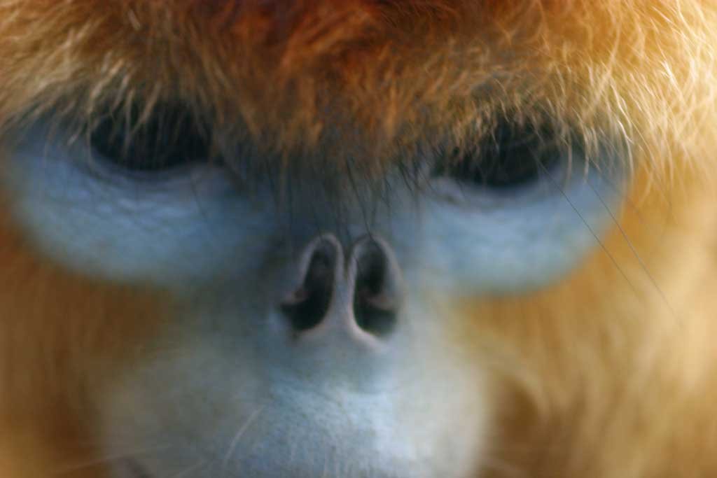 �ʐ^,�f��,����,�t���[,�t�H�g,�N���G�C�e�B�u�E�R�����Y,���i,�ǎ�,�J���̂܂Ȃ�, ��, �T��, , 