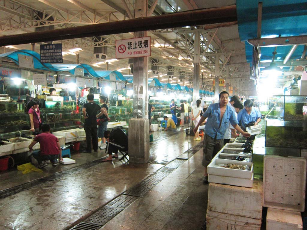 �ʐ^,�f��,����,�t���[,�t�H�g,�N���G�C�e�B�u�E�R�����Y,���i,�ǎ�,���x�s��, �X, �s��, ����, �ɂ��₩