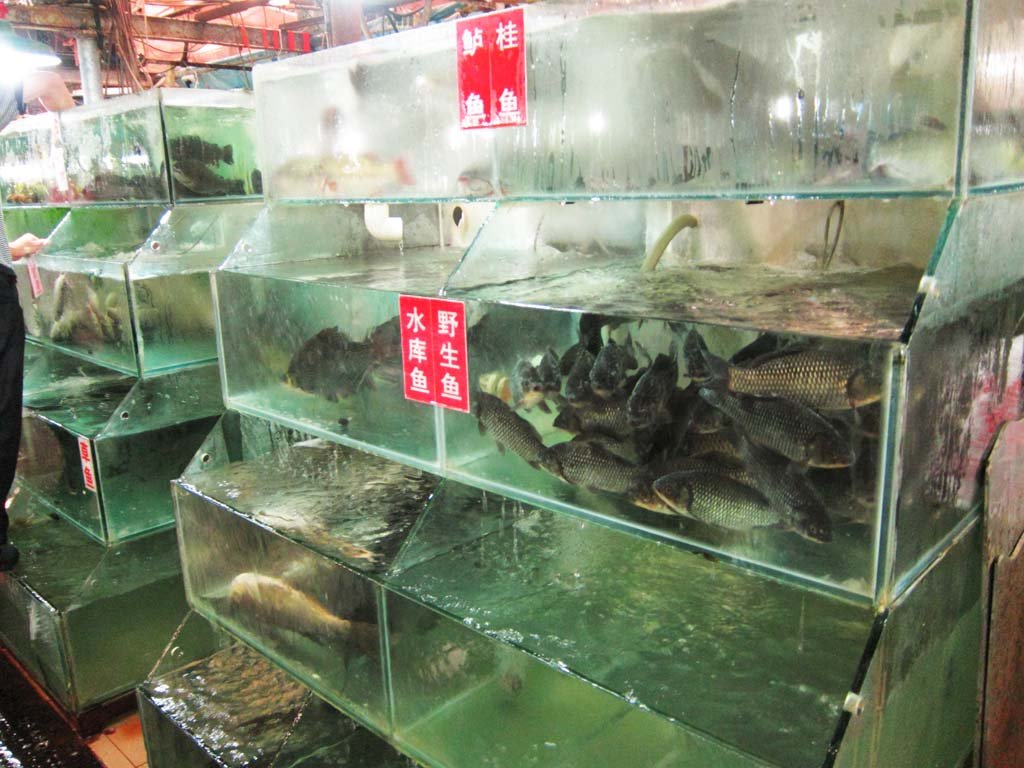 �ʐ^,�f��,����,�t���[,�t�H�g,�N���G�C�e�B�u�E�R�����Y,���i,�ǎ�,���x�s��, �X, �s��, ����, �ɂ��₩