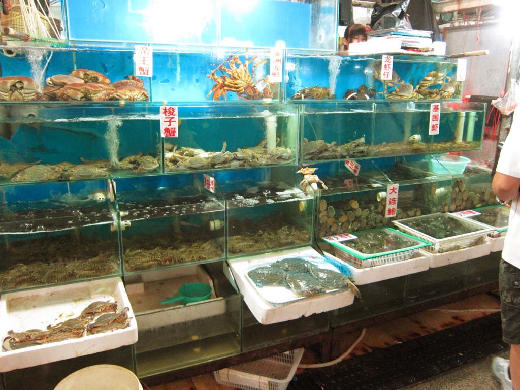 �ʐ^,�f��,����,�t���[,�t�H�g,�N���G�C�e�B�u�E�R�����Y,���i,�ǎ�,���x�s��, �X, �s��, ����, �ɂ��₩