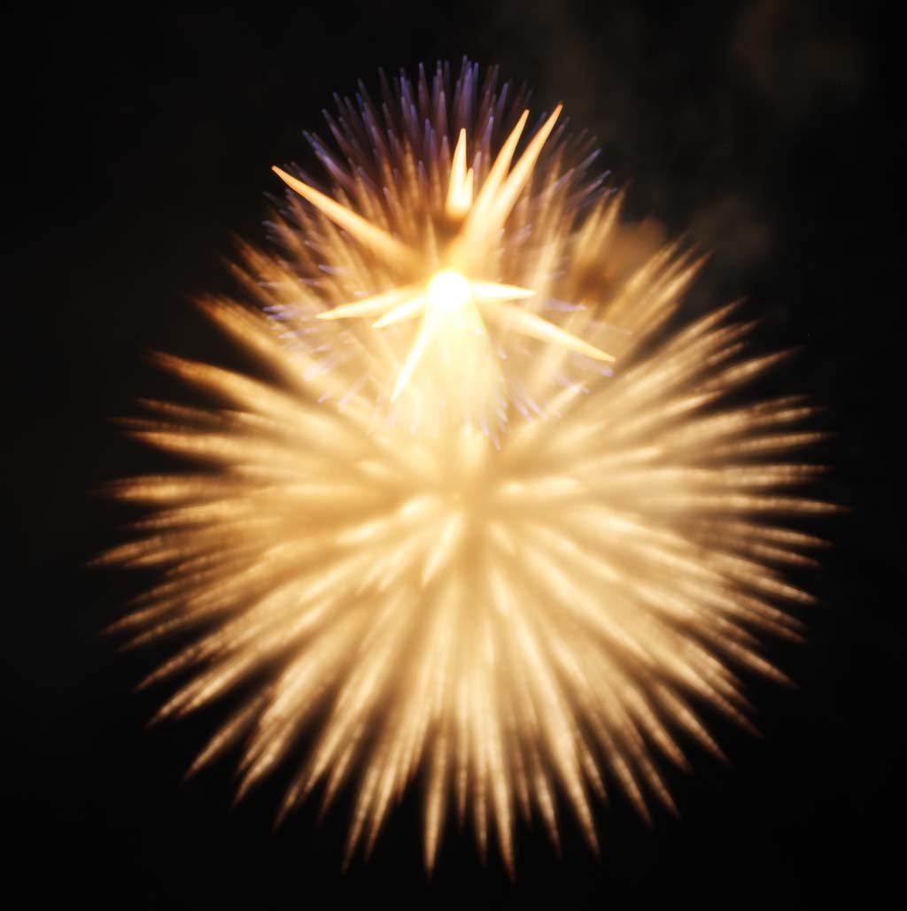 �ʐ^,�f��,����,�t���[,�t�H�g,�N���G�C�e�B�u�E�R�����Y,���i,�ǎ�,���܂���ԉΑ��, �ŏ�ԉ�, �Ă̕�����, ����, �P��