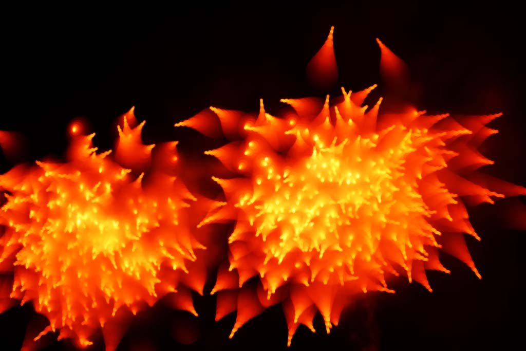 �ʐ^,�f��,����,�t���[,�t�H�g,�N���G�C�e�B�u�E�R�����Y,���i,�ǎ�,���܂���ԉΑ��, �ŏ�ԉ�, �Ă̕�����, ����, �P��