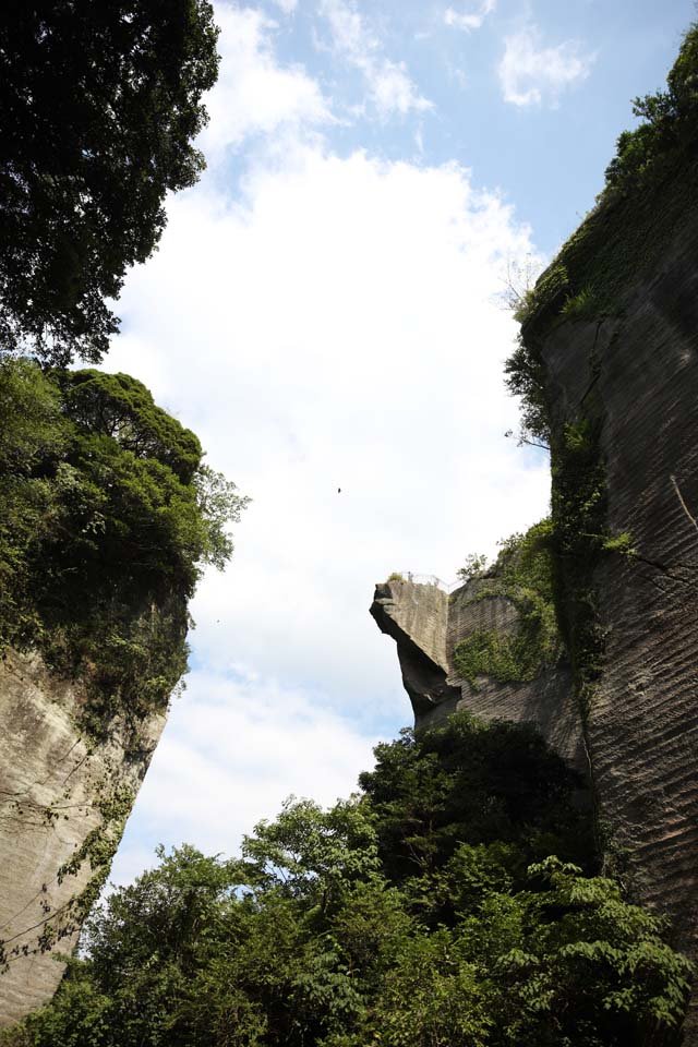 �ʐ^,�f��,����,�t���[,�t�H�g,�N���G�C�e�B�u�E�R�����Y,���i,�ǎ�,���R�@�n���̂���, �W�]��, �ΐ؂��, �|��, �x������