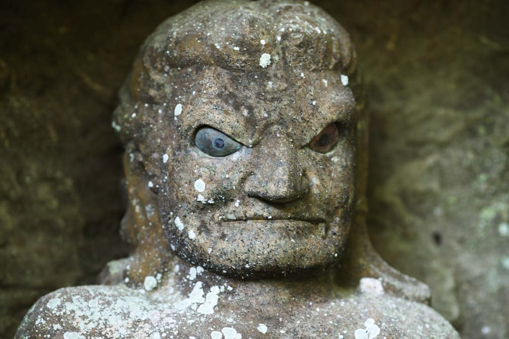 �ʐ^,�f��,����,�t���[,�t�H�g,�N���G�C�e�B�u�E�R�����Y,���i,�ǎ�,���R ���������s��, ����, �Ε�, ����, ���