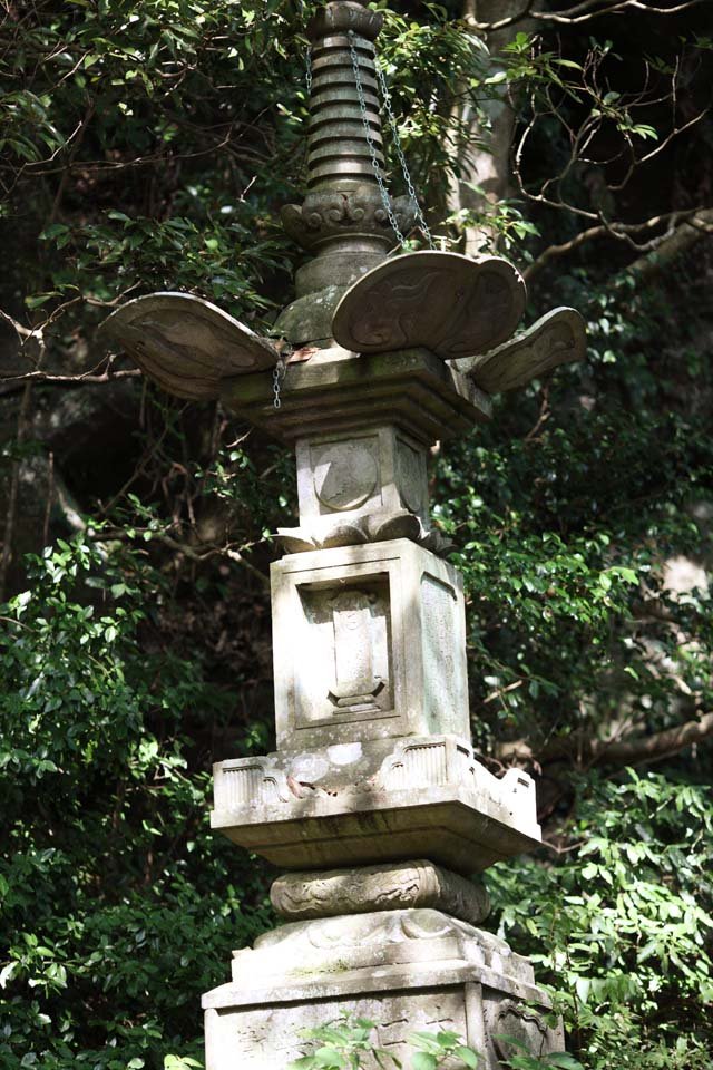 �ʐ^,�f��,����,�t���[,�t�H�g,�N���G�C�e�B�u�E�R�����Y,���i,�ǎ�,���R ��➈�, ����, �Ε�, ��, ���