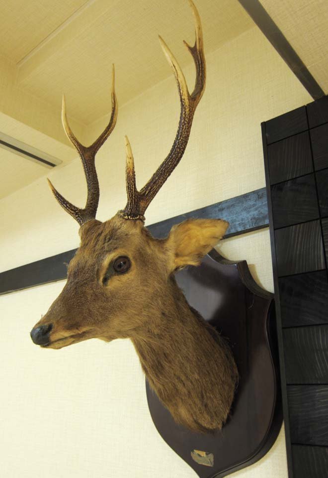 �ʐ^,�f��,����,�t���[,�t�H�g,�N���G�C�e�B�u�E�R�����Y,���i,�ǎ�,���̔���, ��, �V�J, �p, ����