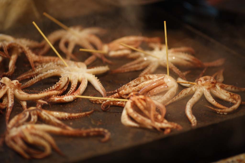 �ʐ^,�f��,����,�t���[,�t�H�g,�N���G�C�e�B�u�E�R�����Y,���i,�ǎ�,�C�J�Ă�, �C�J, �G��, �Q�\, ����