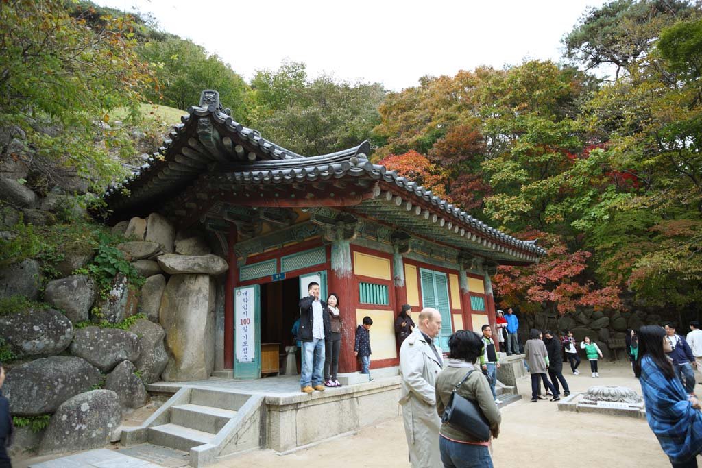 �ʐ^,�f��,����,�t���[,�t�H�g,�N���G�C�e�B�u�E�R�����Y,���i,�ǎ�,�ΌA��, ���, �������, �@������, �������@