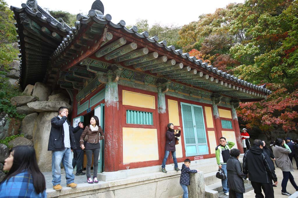 �ʐ^,�f��,����,�t���[,�t�H�g,�N���G�C�e�B�u�E�R�����Y,���i,�ǎ�,�ΌA��, ���, �������, �@������, �������@