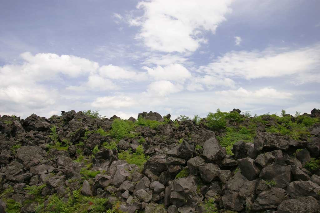 �ʐ^,�f��,����,�t���[,�t�H�g,�N���G�C�e�B�u�E�R�����Y,���i,�ǎ�,��Ɨn��, ��, �n��, ��, �_