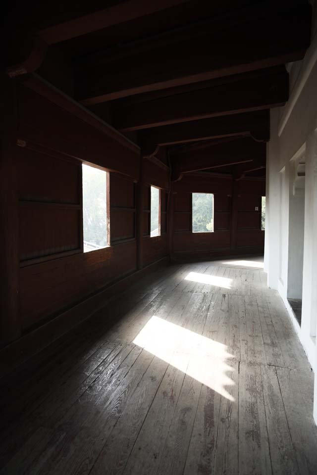 �ʐ^,�f��,����,�t���[,�t�H�g,�N���G�C�e�B�u�E�R�����Y,���i,�ǎ�,�Z�a��, ��, ��, �K�O��, ������