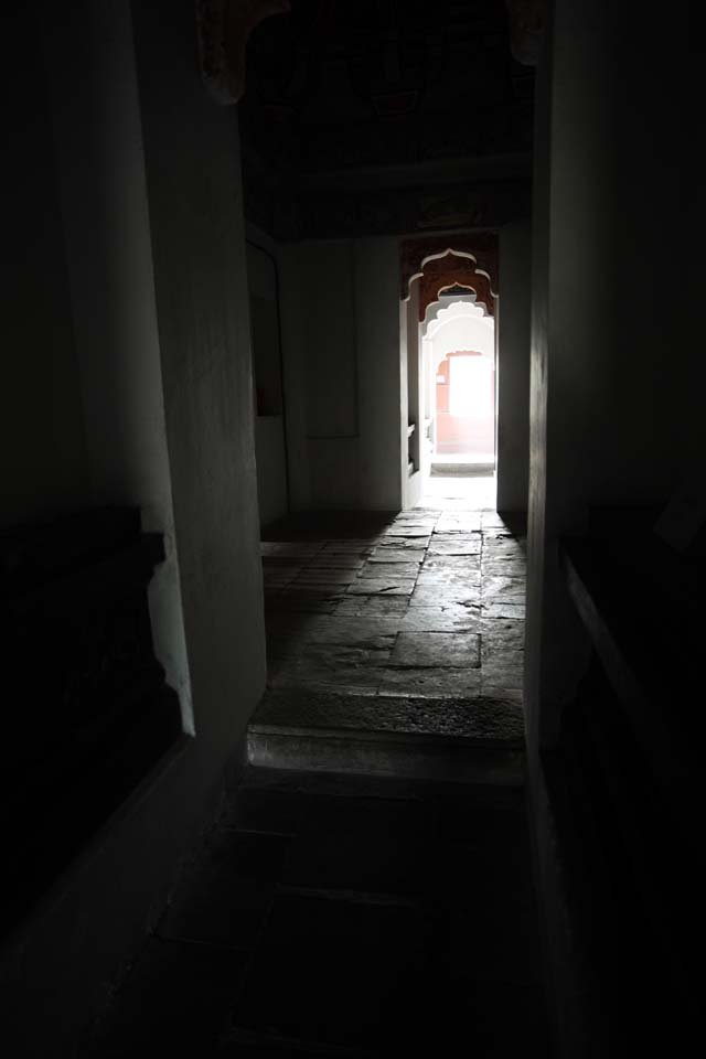 �ʐ^,�f��,����,�t���[,�t�H�g,�N���G�C�e�B�u�E�R�����Y,���i,�ǎ�,�Z�a��, ��, �L��, �Ώ�, ��