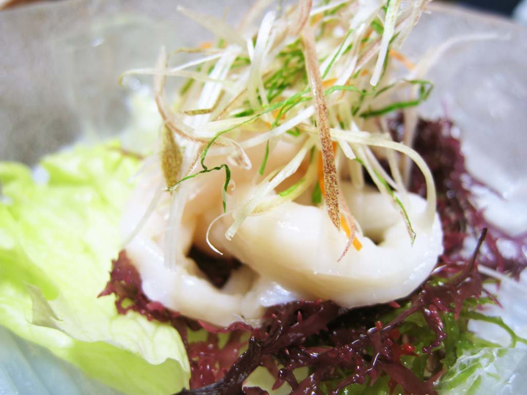 �ʐ^,�f��,����,�t���[,�t�H�g,�N���G�C�e�B�u�E�R�����Y,���i,�ǎ�,�h�g, �C��, �h�g, �c�}, �a�H