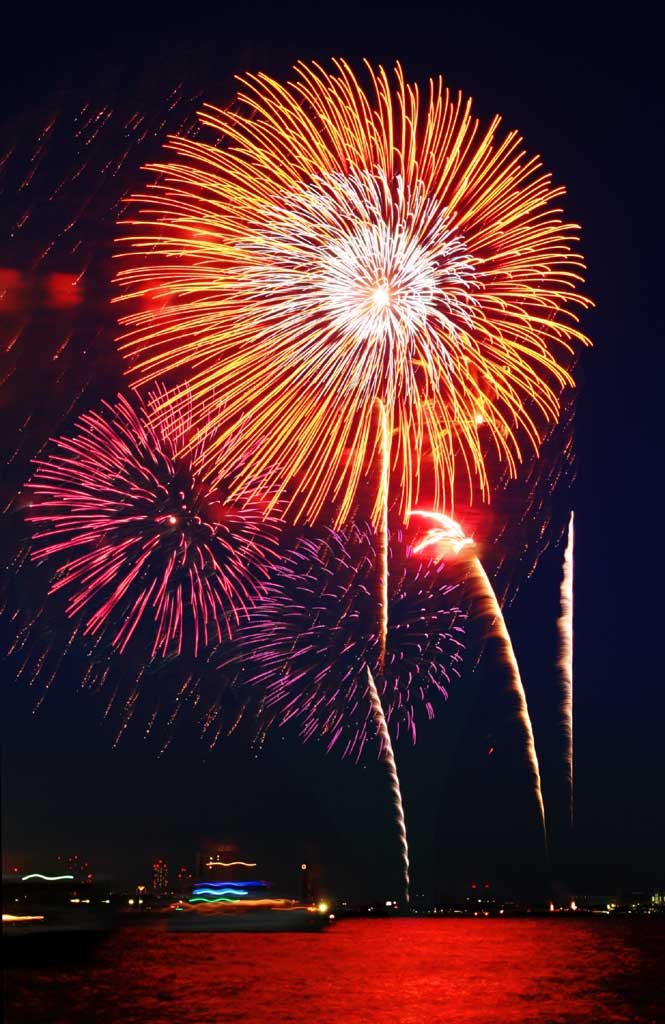 �ʐ^,�f��,����,�t���[,�t�H�g,�N���G�C�e�B�u�E�R�����Y,���i,�ǎ�,��ԉΑ��, �ԉ�, ��, �ŏ�, �ڋ�