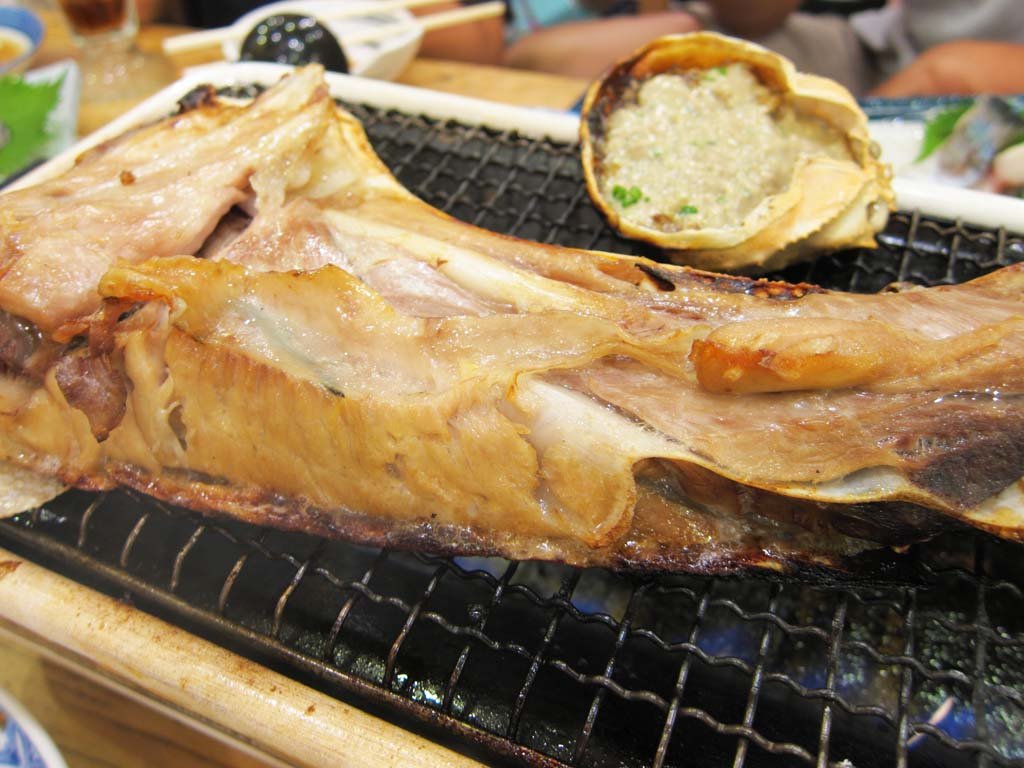 �ʐ^,�f��,����,�t���[,�t�H�g,�N���G�C�e�B�u�E�R�����Y,���i,�ǎ�,�J�}�Ă�, ����, �H�ו�, , 