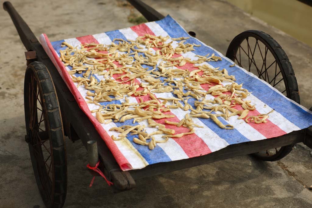 �ʐ^,�f��,����,�t���[,�t�H�g,�N���G�C�e�B�u�E�R�����Y,���i,�ǎ�,�V������, �������i, �W�����z, �׎�, �m��