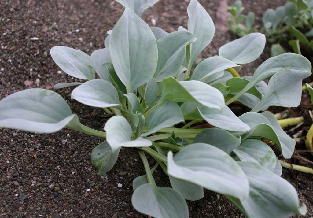 �ʐ^,�f��,����,�t���[,�t�H�g,�N���G�C�e�B�u�E�R�����Y,���i,�ǎ�,�C�ݑ�, ���l, �C��, ��, �쑐