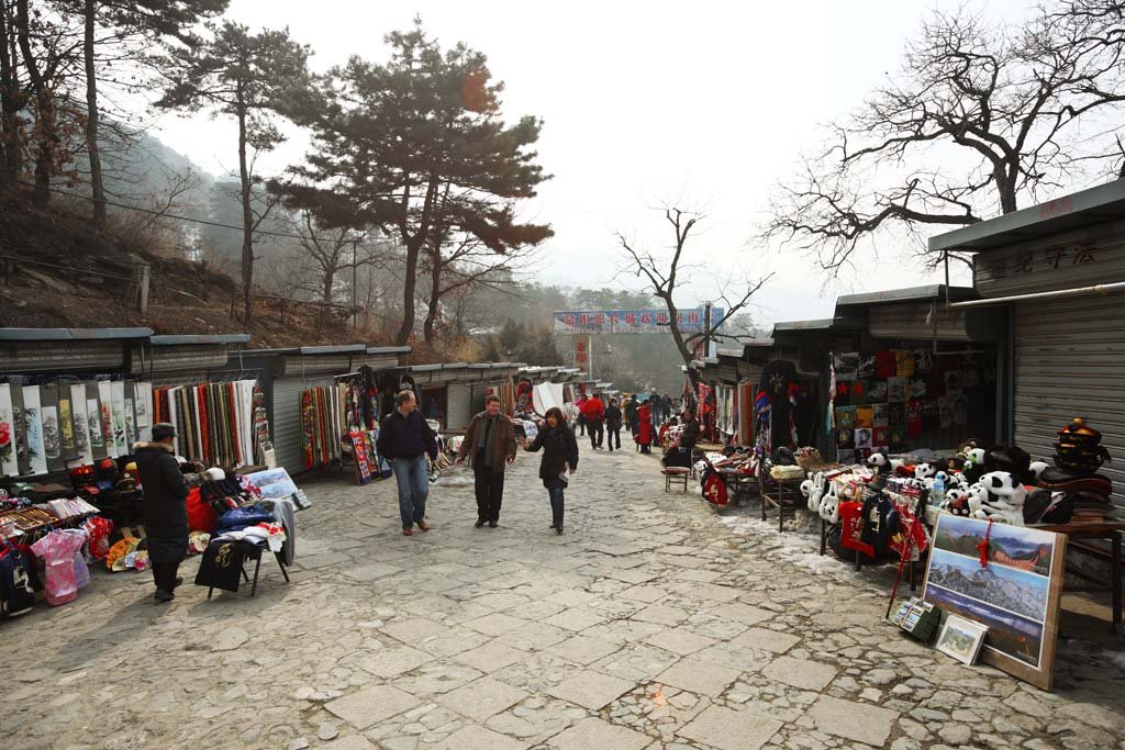 �ʐ^,�f��,����,�t���[,�t�H�g,�N���G�C�e�B�u�E�R�����Y,���i,�ǎ�,�y�Y����, ���y�Y, ���X, �ό��n, 