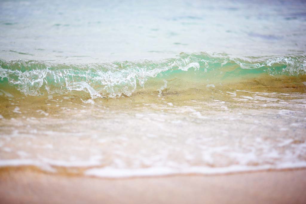 �ʐ^,�f��,����,�t���[,�t�H�g,�N���G�C�e�B�u�E�R�����Y,���i,�ǎ�,�v���C�x�[�g�r�[�`, ���l, �C��, �g, �C