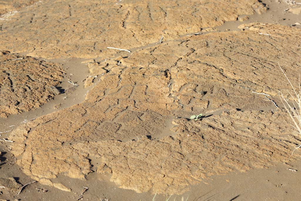 �ʐ^,�f��,����,�t���[,�t�H�g,�N���G�C�e�B�u�E�R�����Y,���i,�ǎ�,�v�A�R�E�y�g���O���t, �n��, ���b�N�E�A�[�g, ��ʒ���, kaha-kii