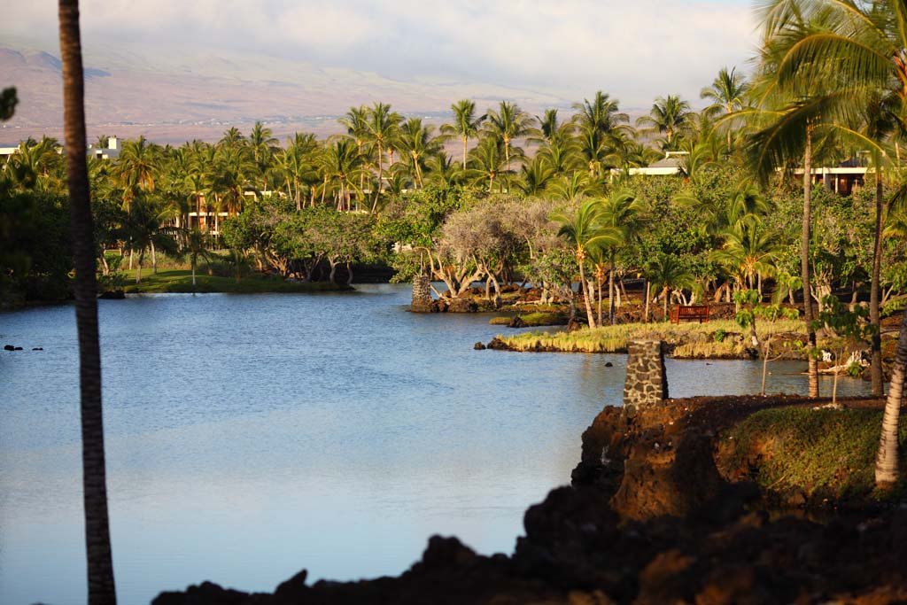 photo,material,free,landscape,picture,stock photo,Creative Commons,MaunaLani fish pound, Lava, An altar, pond, Fishery