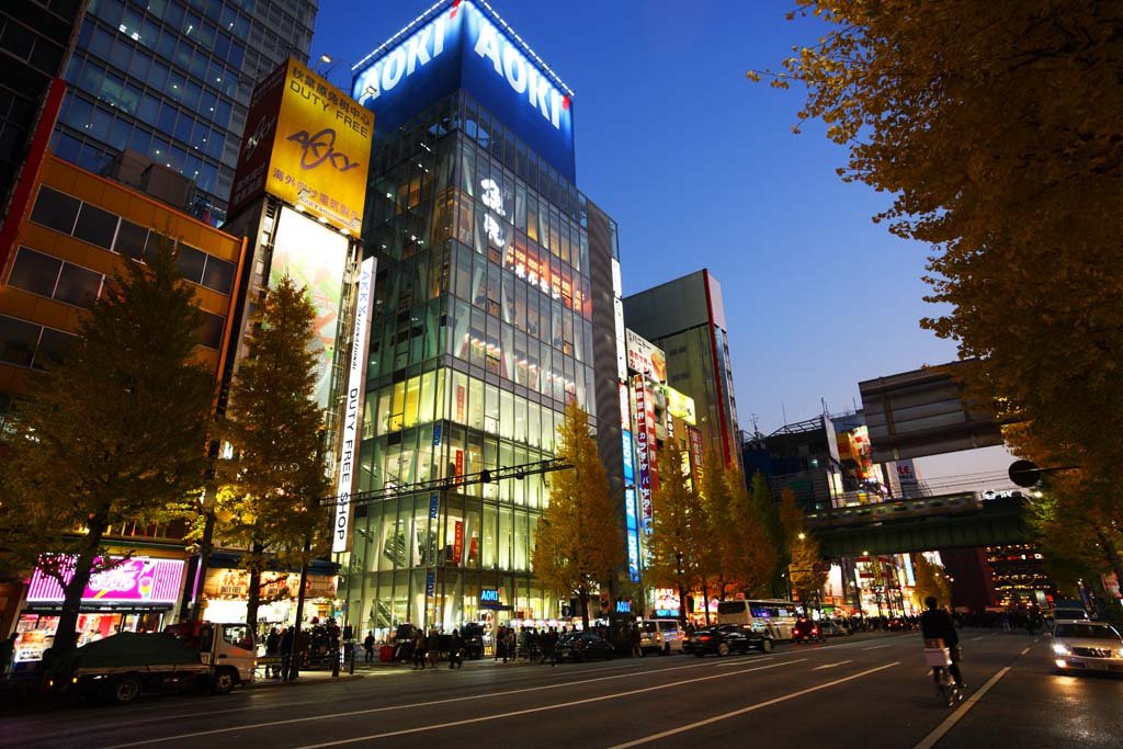 �ʐ^,�f��,����,�t���[,�t�H�g,�N���G�C�e�B�u�E�R�����Y,���i,�ǎ�,�H�t��, �d�C�X, �I�^�N, �l�I��, ������