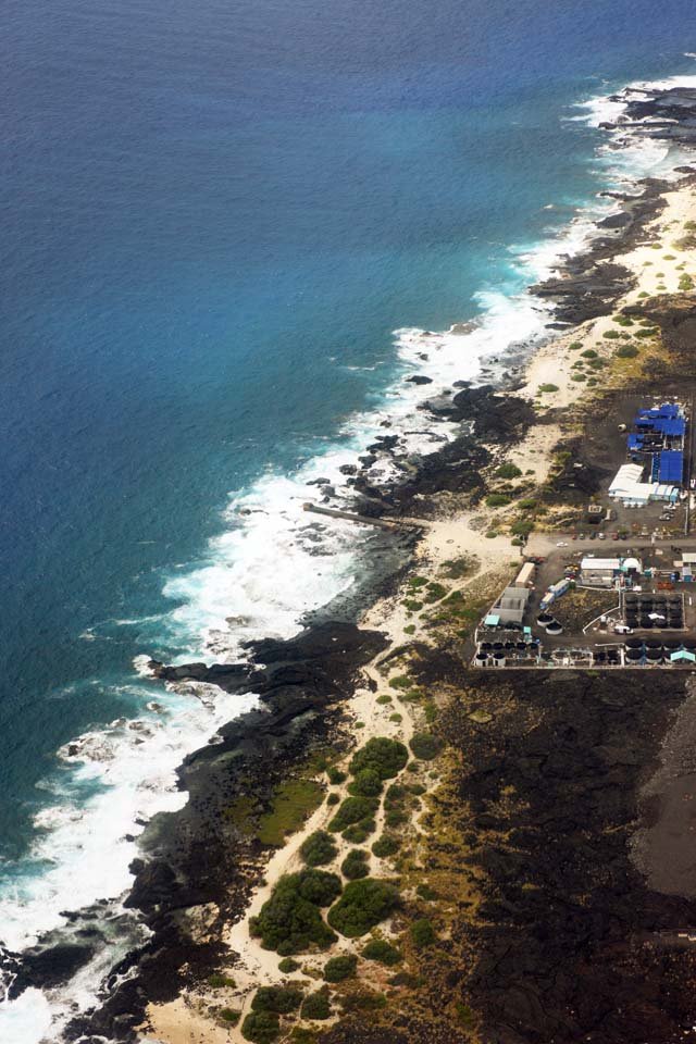 �ʐ^,�f��,����,�t���[,�t�H�g,�N���G�C�e�B�u�E�R�����Y,���i,�ǎ�,�n���C��, �n��, �g, ��, ��