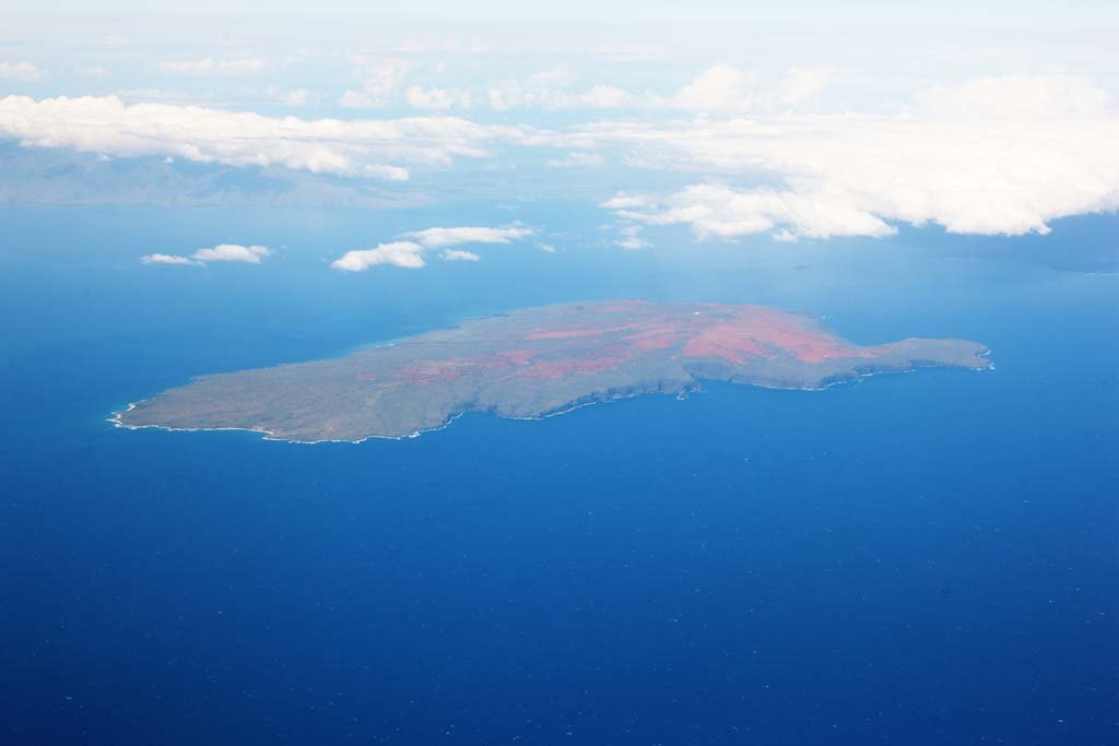 �ʐ^,�f��,����,�t���[,�t�H�g,�N���G�C�e�B�u�E�R�����Y,���i,�ǎ�,�n���C�@�J�z�I���E�F��, �q��ʐ^, �_, ��, �C��