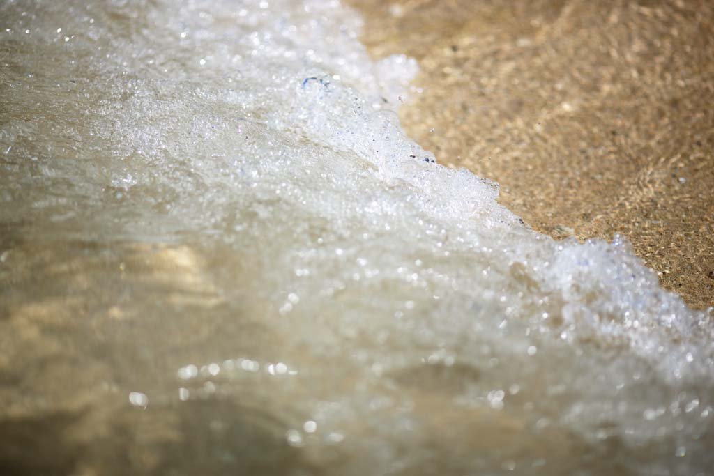 �ʐ^,�f��,����,�t���[,�t�H�g,�N���G�C�e�B�u�E�R�����Y,���i,�ǎ�,���C�L�L�r�[�`, �r�[�`, ��, �C��, �g