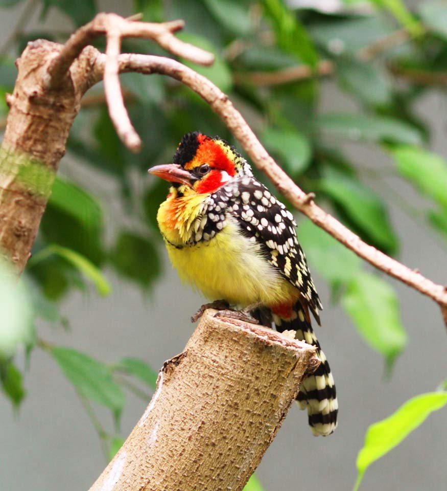 �ʐ^,�f��,����,�t���[,�t�H�g,�N���G�C�e�B�u�E�R�����Y,���i,�ǎ�,�z�I�A�J�I�i�K�S�V�L�h��, ��ؒ�, , , 