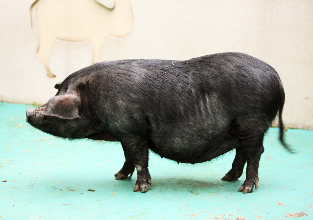 �ʐ^,�f��,����,�t���[,�t�H�g,�N���G�C�e�B�u�E�R�����Y,���i,�ǎ�,�N���u�^, �Ԃ�, ��, , 