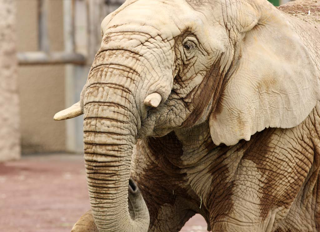 �ʐ^,�f��,����,�t���[,�t�H�g,�N���G�C�e�B�u�E�R�����Y,���i,�ǎ�,�]�E, , , , 