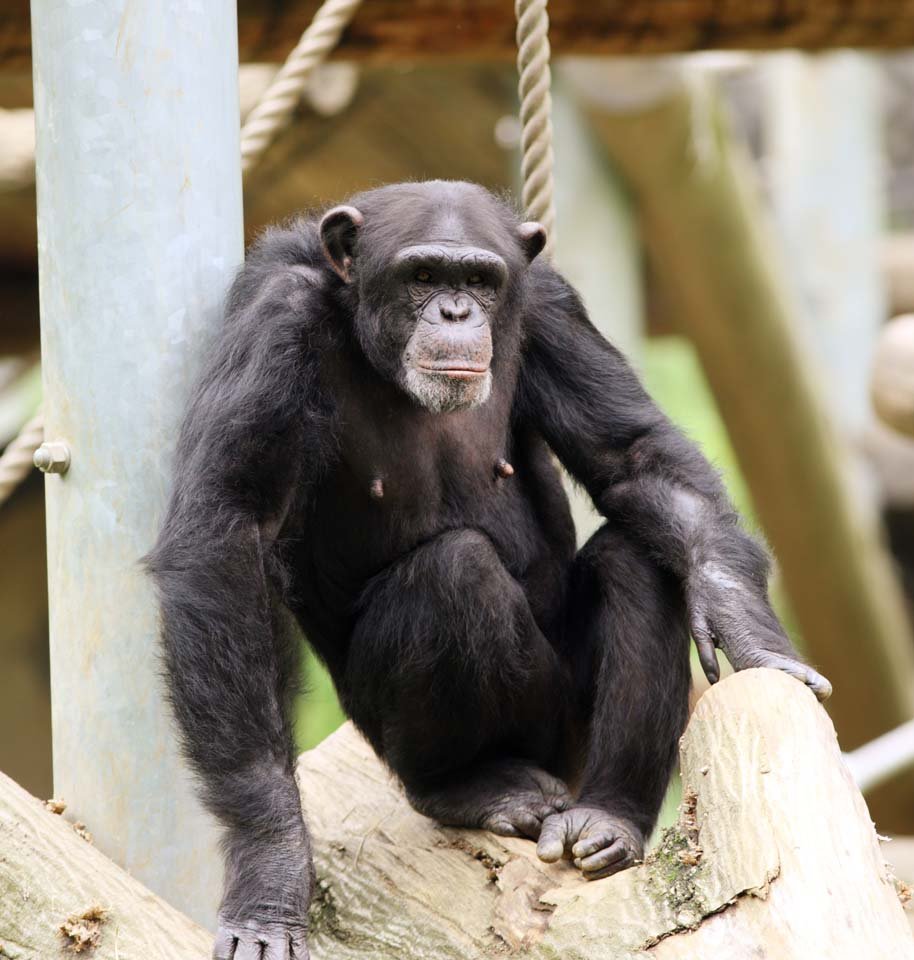 �ʐ^,�f��,����,�t���[,�t�H�g,�N���G�C�e�B�u�E�R�����Y,���i,�ǎ�,�`���p���W�[, ��, , , 