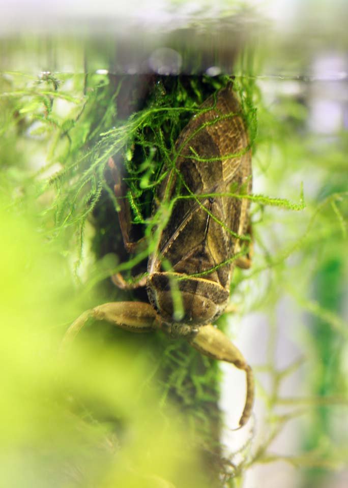 �ʐ^,�f��,����,�t���[,�t�H�g,�N���G�C�e�B�u�E�R�����Y,���i,�ǎ�,�^�K��, , , , 