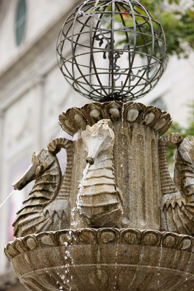 �ʐ^,�f��,����,�t���[,�t�H�g,�N���G�C�e�B�u�E�R�����Y,���i,�ǎ�,����, The Cathedral, �L���X�g��, , 