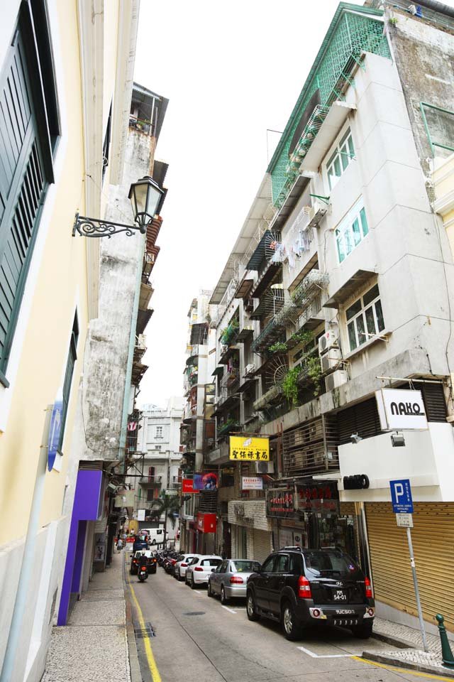 �ʐ^,�f��,����,�t���[,�t�H�g,�N���G�C�e�B�u�E�R�����Y,���i,�ǎ�,�哰�i�勳�����j, , , , 