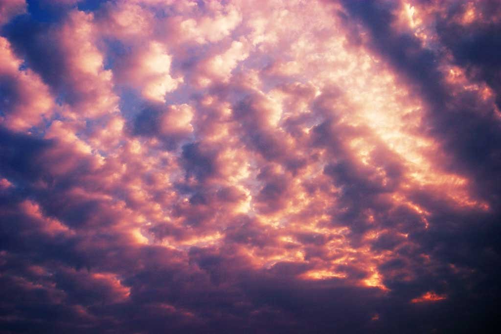 �ʐ^,�f��,����,�t���[,�t�H�g,�N���G�C�e�B�u�E�R�����Y,���i,�ǎ�,���Ă��_, �_, ����, ��, 