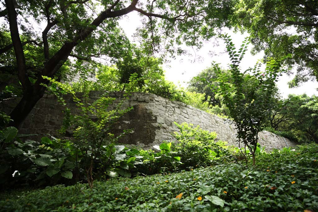 �ʐ^,�f��,����,�t���[,�t�H�g,�N���G�C�e�B�u�E�R�����Y,���i,�ǎ�,�����e�̍�, Monte Fortress, �v��, �R��, 