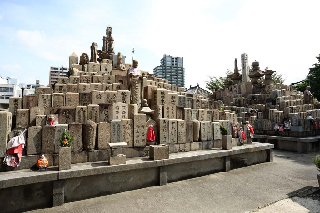 �ʐ^,�f��,����,�t���[,�t�H�g,�N���G�C�e�B�u�E�R�����Y,���i,�ǎ�,�l�V�����@�쉑, ��, , , 